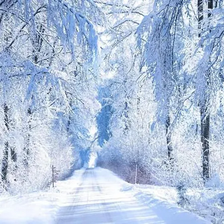 Appartement Bold & Chic Stay, *