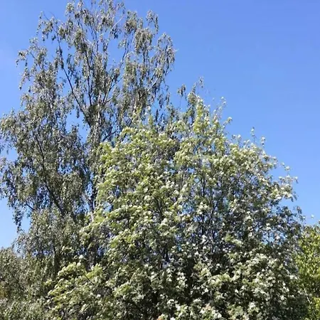 Appartement Bold & Chic Stay,