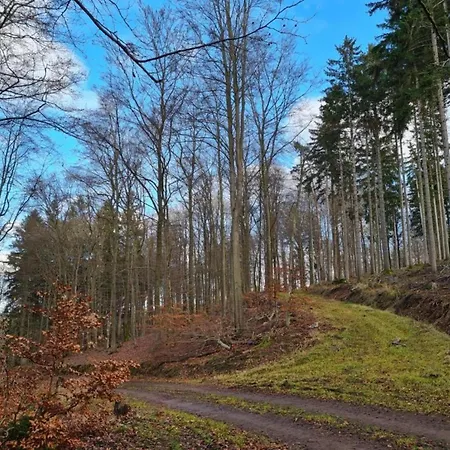 Bold & Chic Stay, Appartement Altshausen