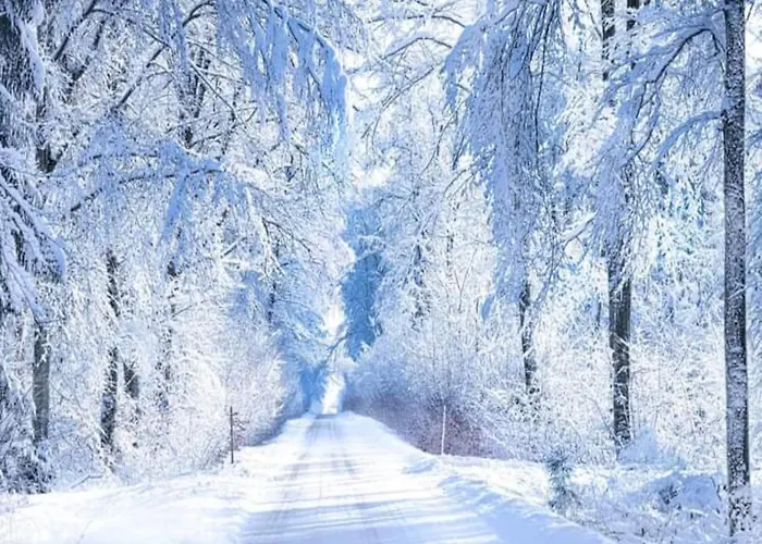 Apartman Bold & Chic Stay, *