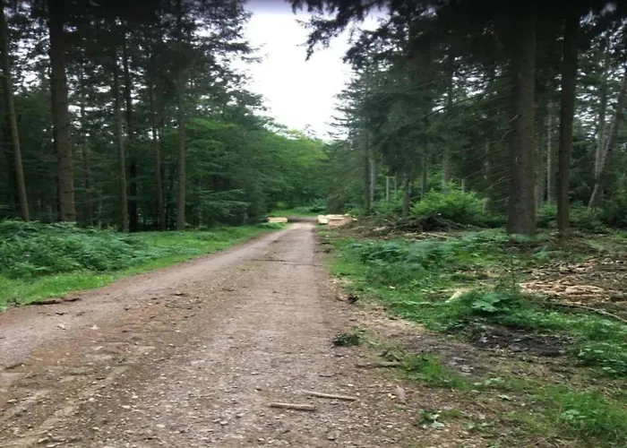 Appartamento Bold & Chic Stay,