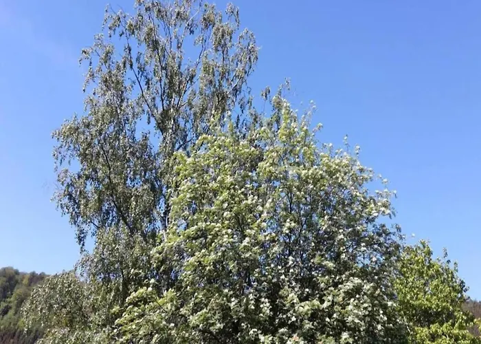 Apartman Bold & Chic Stay,