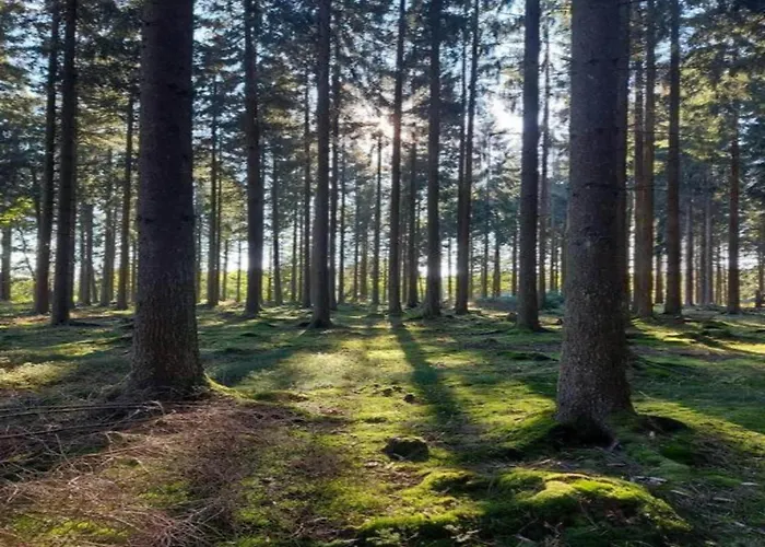 Bold & Chic Stay, Appartamento