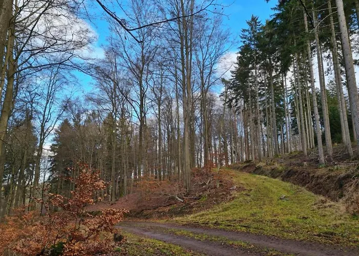 Bold & Chic Stay, Apartman Altshausen